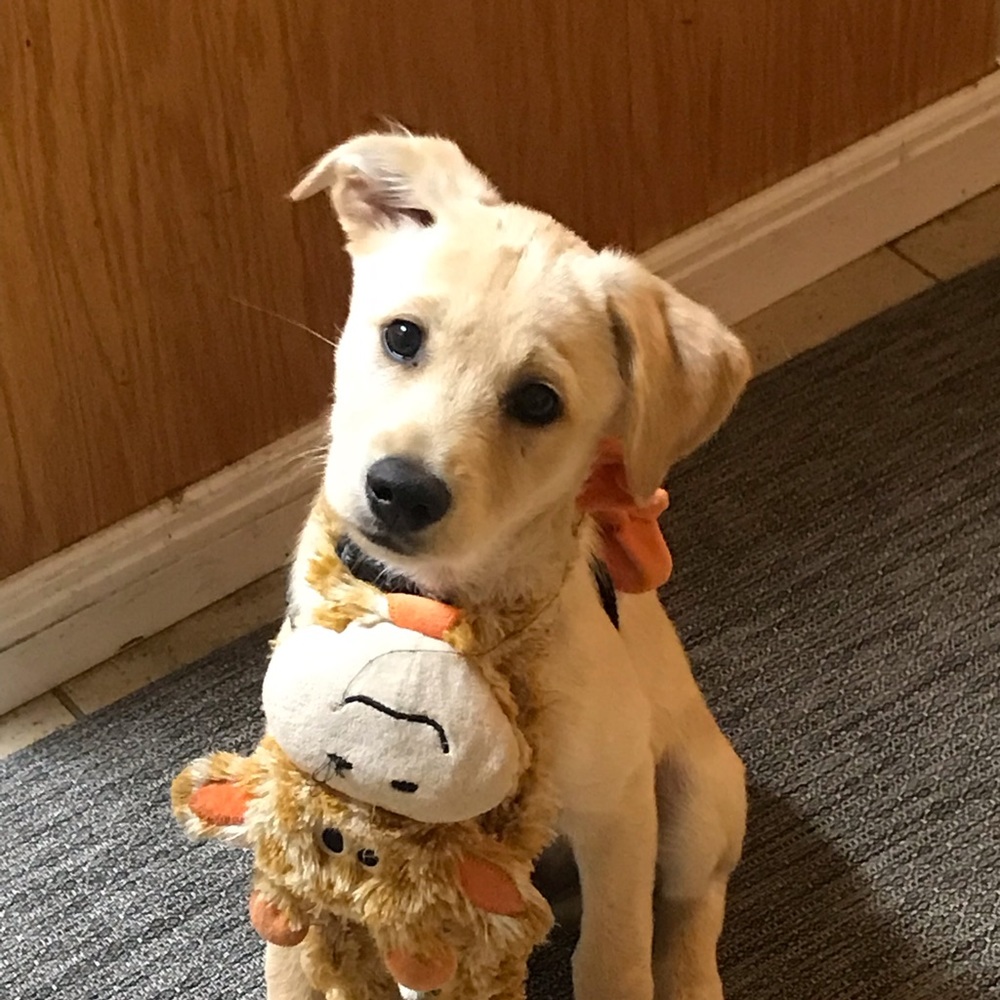 Meet your Posher, Mimi